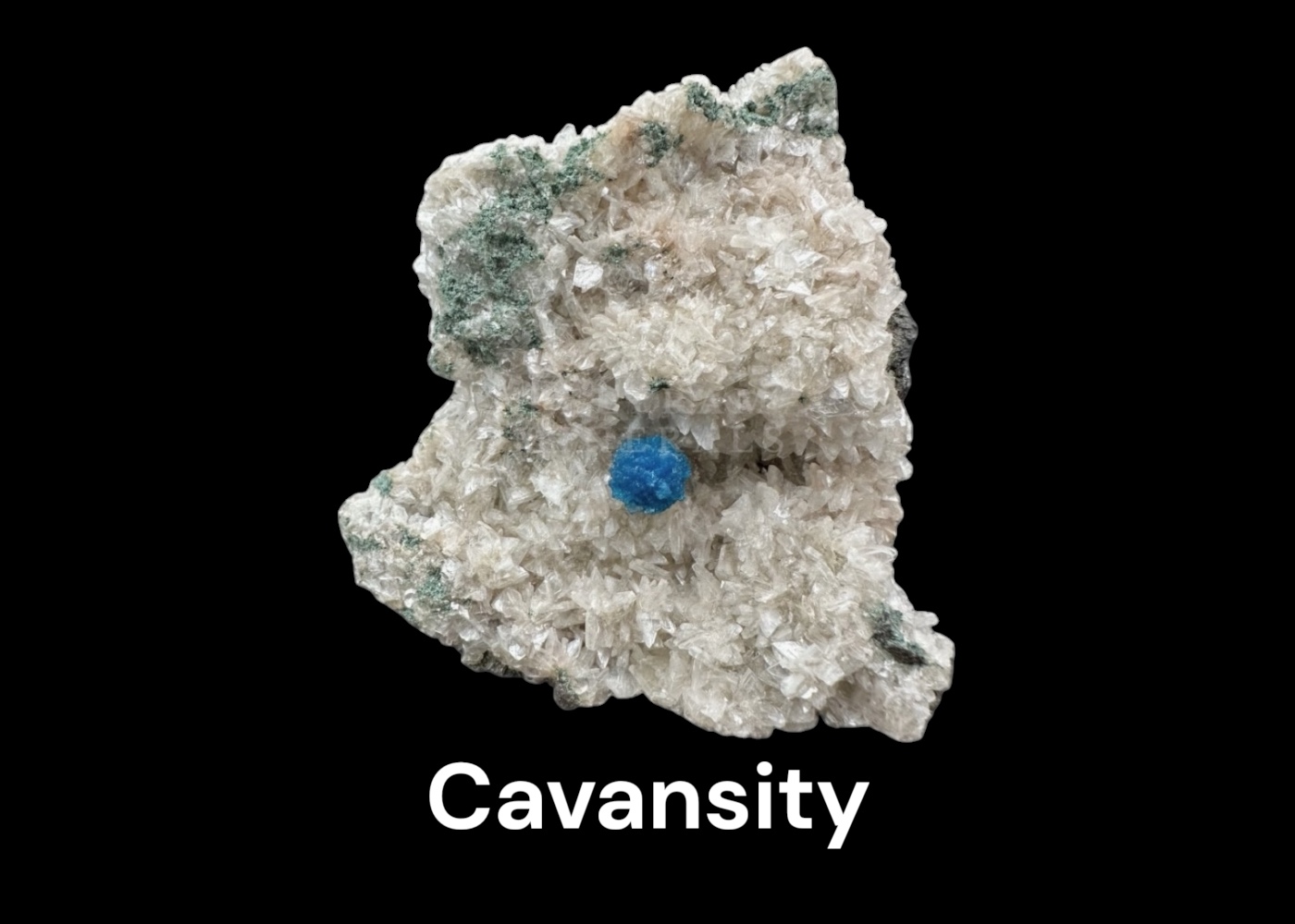Cavansity